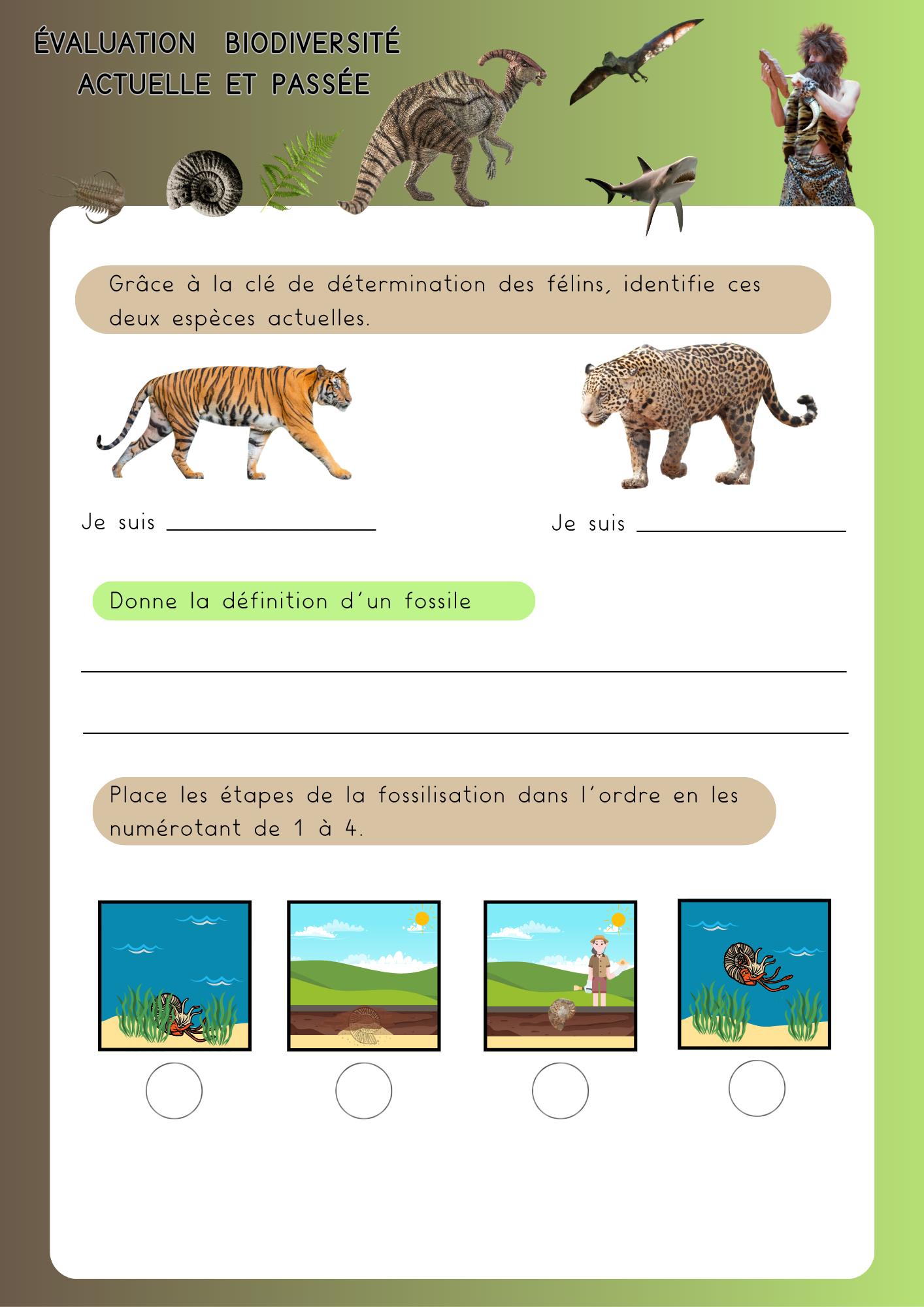 Sciences CM1 — évaluation biodiversité actuelle et passée
